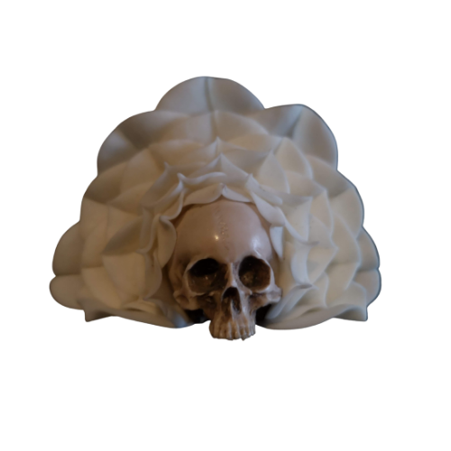 SKULL NON